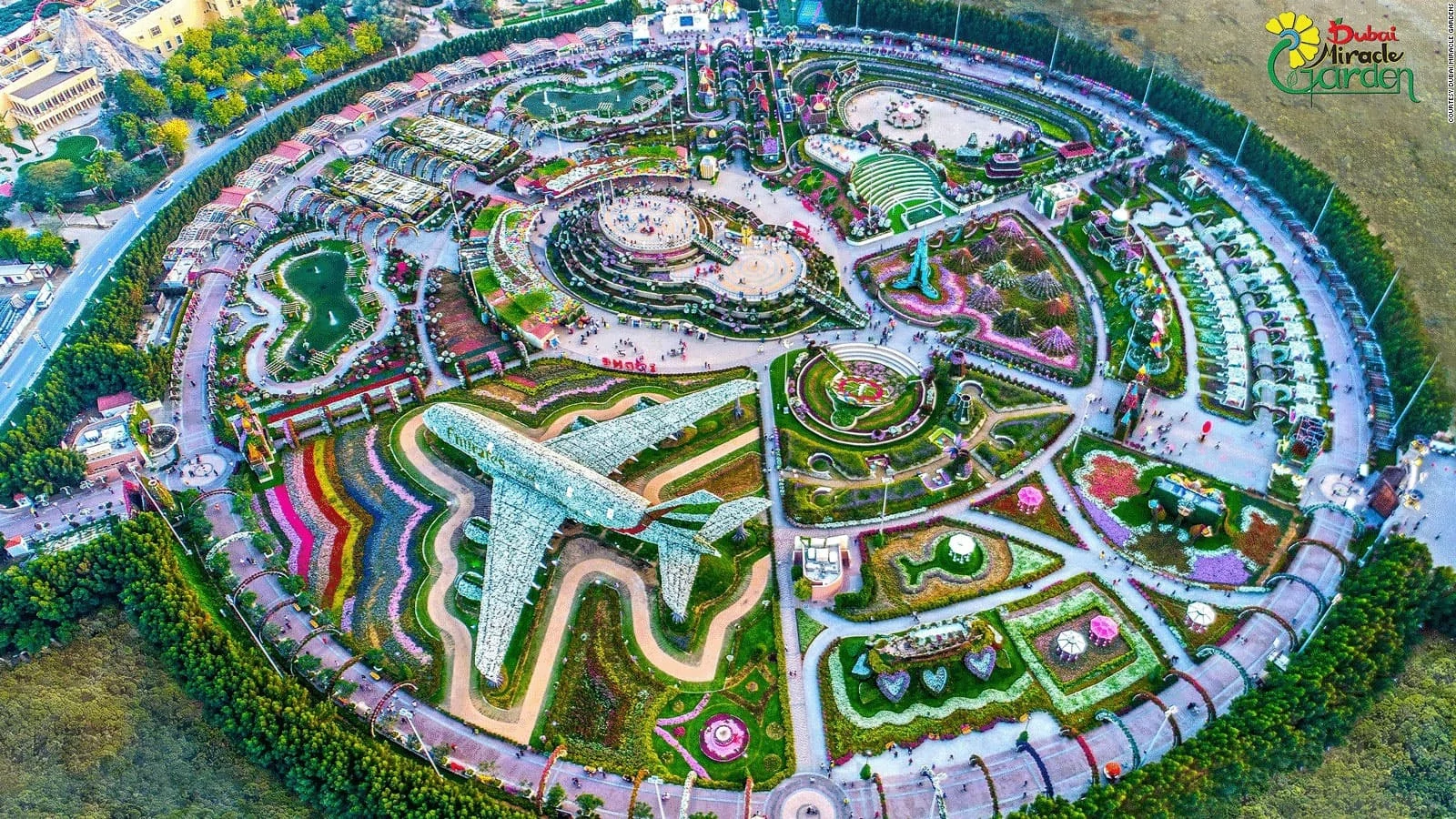 Dubai Butterfly Garden
